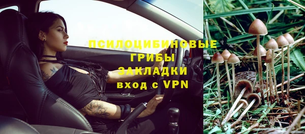 ПСИЛОЦИБИНОВЫЕ ГРИБЫ Богородицк