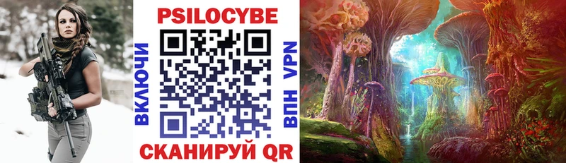Купить где  Покровск  Псилоцибиновые грибы MAGIC MUSHROOMS 